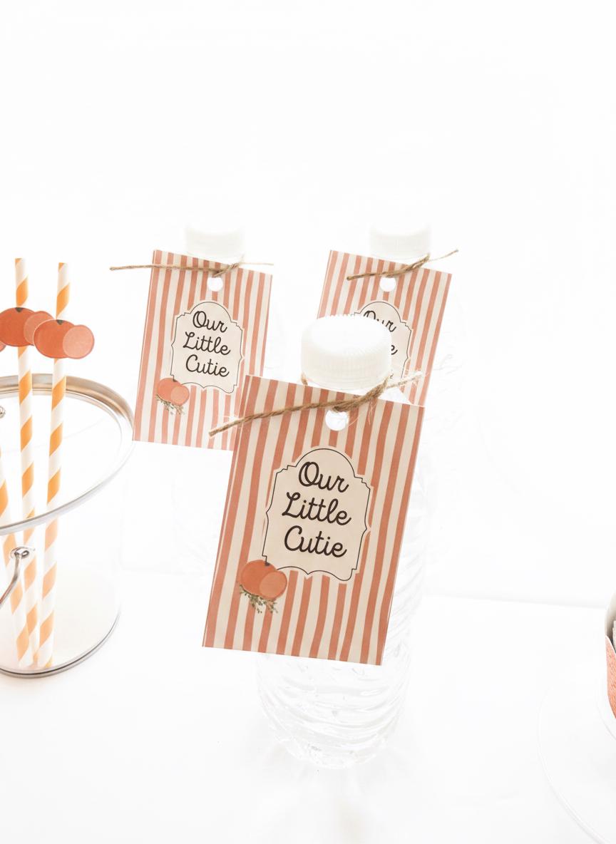 Our Little Cutie Favor Tags, Set of 12 - Cardstock Gift Tags for Baby Shower & Party Favors