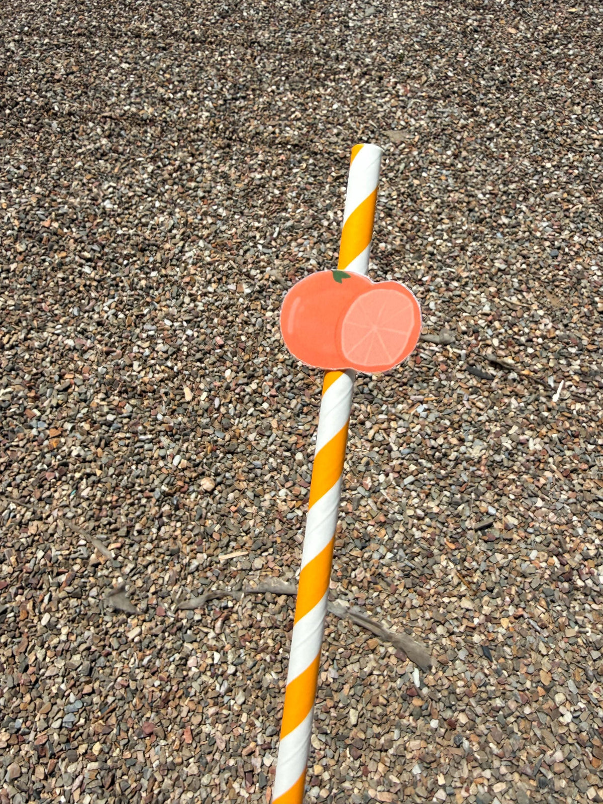 Clementine Paper Straws, Set of 12 – Eco-Friendly Paper Straws for Baby Shower, Birthday & Citrus Party