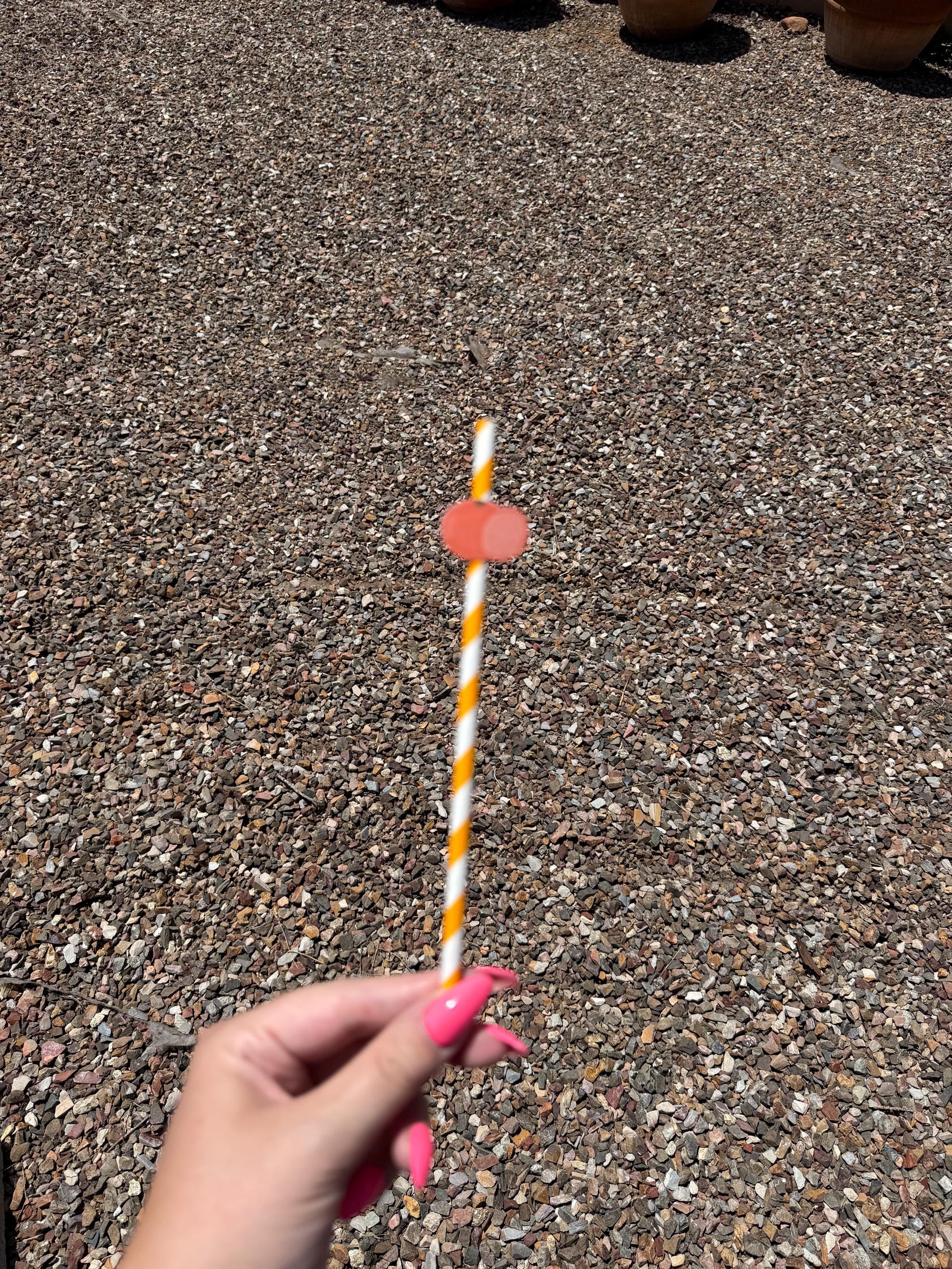 Clementine Paper Straws, Set of 12 – Eco-Friendly Paper Straws for Baby Shower, Birthday & Citrus Party